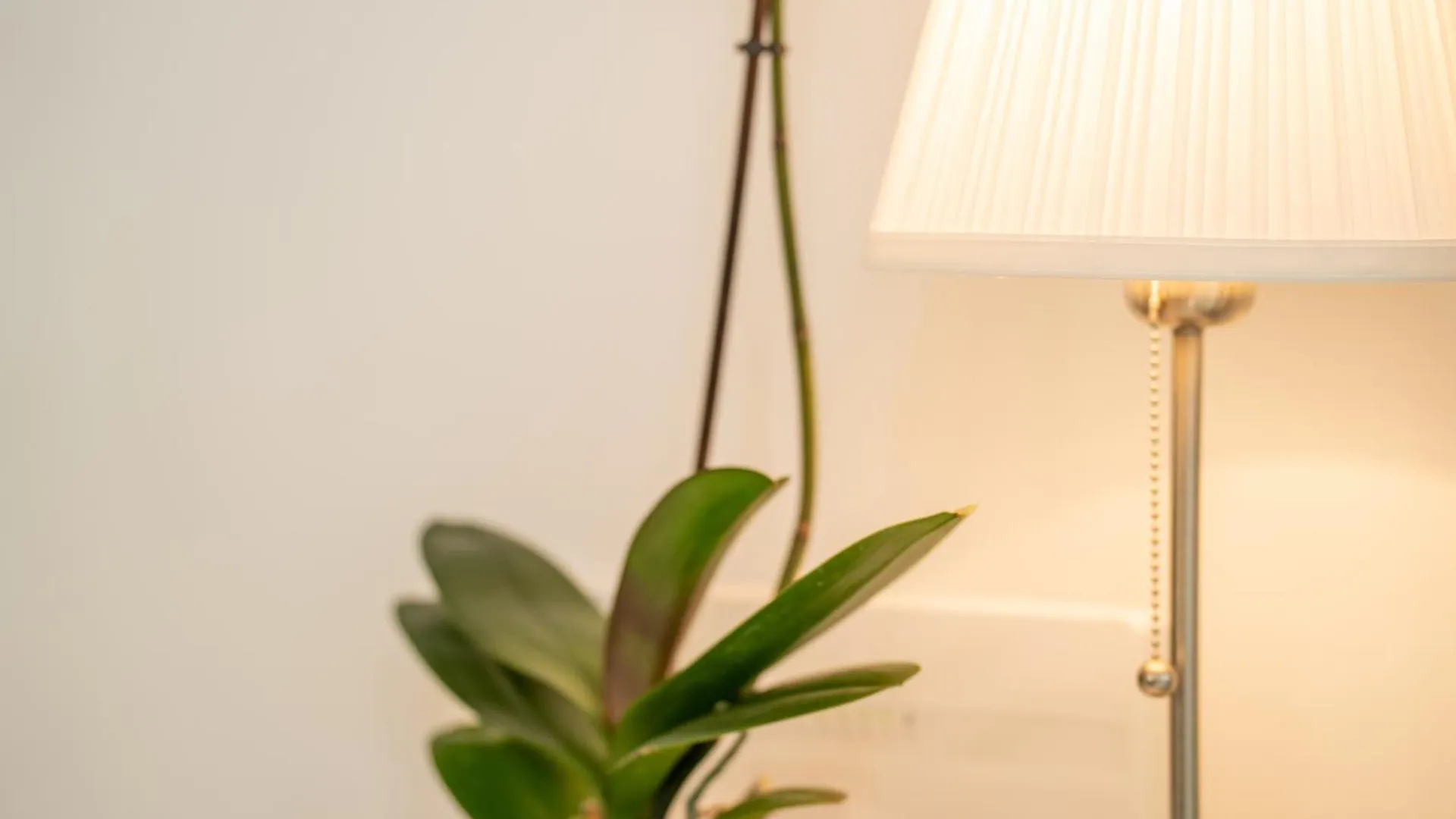 Apartamento The Korner, Central Adeje Renovated Flat Costa Adeje